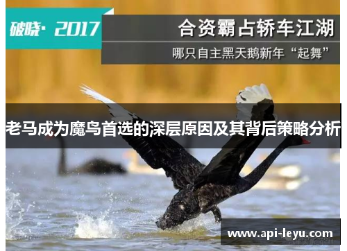老马成为魔鸟首选的深层原因及其背后策略分析