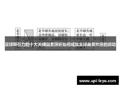 足球吸引力的十大关键因素探析如何成就全球最受欢迎的运动