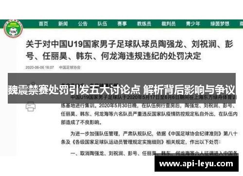 魏震禁赛处罚引发五大讨论点 解析背后影响与争议